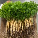 한우물1호 태양광 이미지