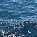 장미미소약국 이미지