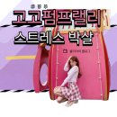 의정부 이색 데이트 '고고펌프랠리' 발판 게임 후기