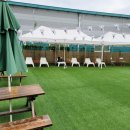 애견카페,애견유치원 멍선생 이미지