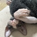 남양점현대자동차 이미지