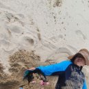 바다담거제펜션 이미지