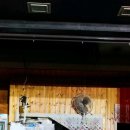 식당 이미지