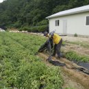 창신태권도체육관 이미지