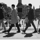 앙상블 로티니 이미지