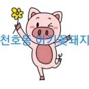 홍천사랑말영농조합법인 이미지