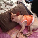 홀리데이캠프캠핑장 이미지