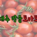 기찬농장 이미지