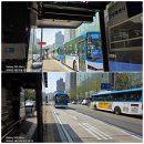 평화누리길 제2코스(조강철책길) / DMZ 평화의 길 2코스 혼트