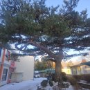 북일초교 이미지