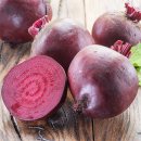 자연이네 이미지