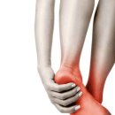 씨에스나무병원 이미지