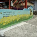 비비큐 완도 청산점 | 취향저격 청산도 2박3일 여행 하 (서울->청산도)