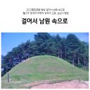 남원 청계리 고분군 | 2023향토문화 탐방 걸어서 남원 속으로 월산리·청계리·두락리·유곡리 고분, 실상사 탐방