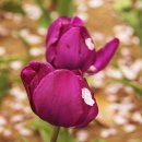 연지공원2 이미지