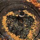 도싯골묵은지삼겹살 이미지