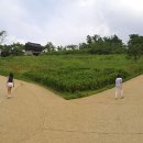 갈림길 이미지