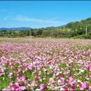 화순군농업기술센터 이미지