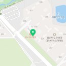 사파동131 이미지