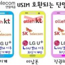 슈퍼선불폰
