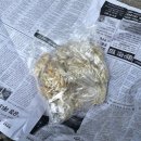 호돌이만두 이미지