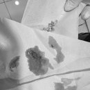 문정탑 동물병원 이미지