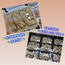 이순반찬 | 아산하나로마트 이순신점 [수산물] 싱싱함에 반하고 온 리얼 방문 후기!