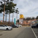 수원-1547 | 수원 한국화훼농협 화훼단지 구경 및 테이블 야자 구입 후기