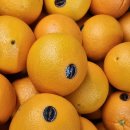 칠성과일 이미지