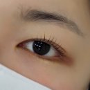 라엘래쉬 | 안산 고잔동속눈썹펌 잘하는곳 라엘래쉬 LU컬 후기