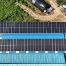 영일목장 이미지