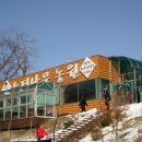 느티나무농원 Daum카페