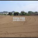 제주 사람발자국과 동물발자국 화석산지 | ♡서귀포토지(대지)경매/제주서귀포시경매>제주 서귀포시 안덕면 사계리 3471 경매 정보/ 2025타경1477