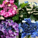 생명농장 이미지