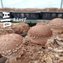 늘픔농장 이미지