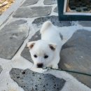 선바람에어컨 이미지