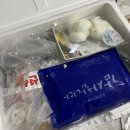 맛있는 과메기세트 추천! 손질과메기 정담수산 포항 구룡포 과메기 야채세트 후기