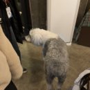 세븐일레븐 천안목천마론점 이미지