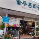 늘푸른화원 - 금산군 무금로 2399 | 늘푸른화원