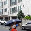 탑 피시 이미지