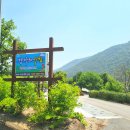 남한강낚시 | 단양단체펜션 [강가의아침펜션] 초록초록 남한강 뷰/ 낚시/ 바베큐 후기