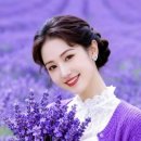 행운 Daum카페