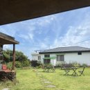 돌담농장 | 제주 구좌 카페 ☕ 돌담너머당근 – 인생 당근케이크 &amp; 당근주스 맛집 후기