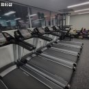 가오짐 피티샵 이미지