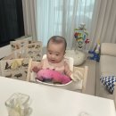 한지로 만드는 세상 | 초기이유식 잘 먹게 만드는법, 휴이이유식 후기