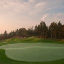 에프와이에스 골프 이미지