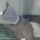 블루동물종합병원 이미지