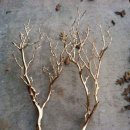 오운인테리어 이미지