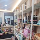 멍이살롱 이미지