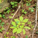 한비하다 이미지